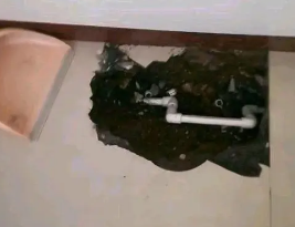 漳平卫生间测漏水多少钱